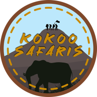 Kokoo Safaris logo round 1